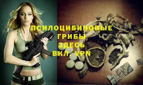 PSILOCYBIN Михайловск