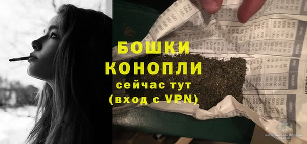 PSILOCYBIN Михайловск