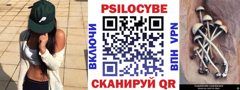 ссылка на мегу ссылка  Алзамай  Галлюциногенные грибы GOLDEN TEACHER 