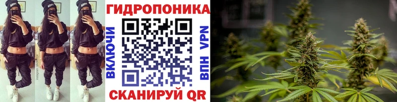магазин продажи   сайты даркнета состав  гидра рабочий сайт  Каннабис ГИДРОПОН  Алзамай 